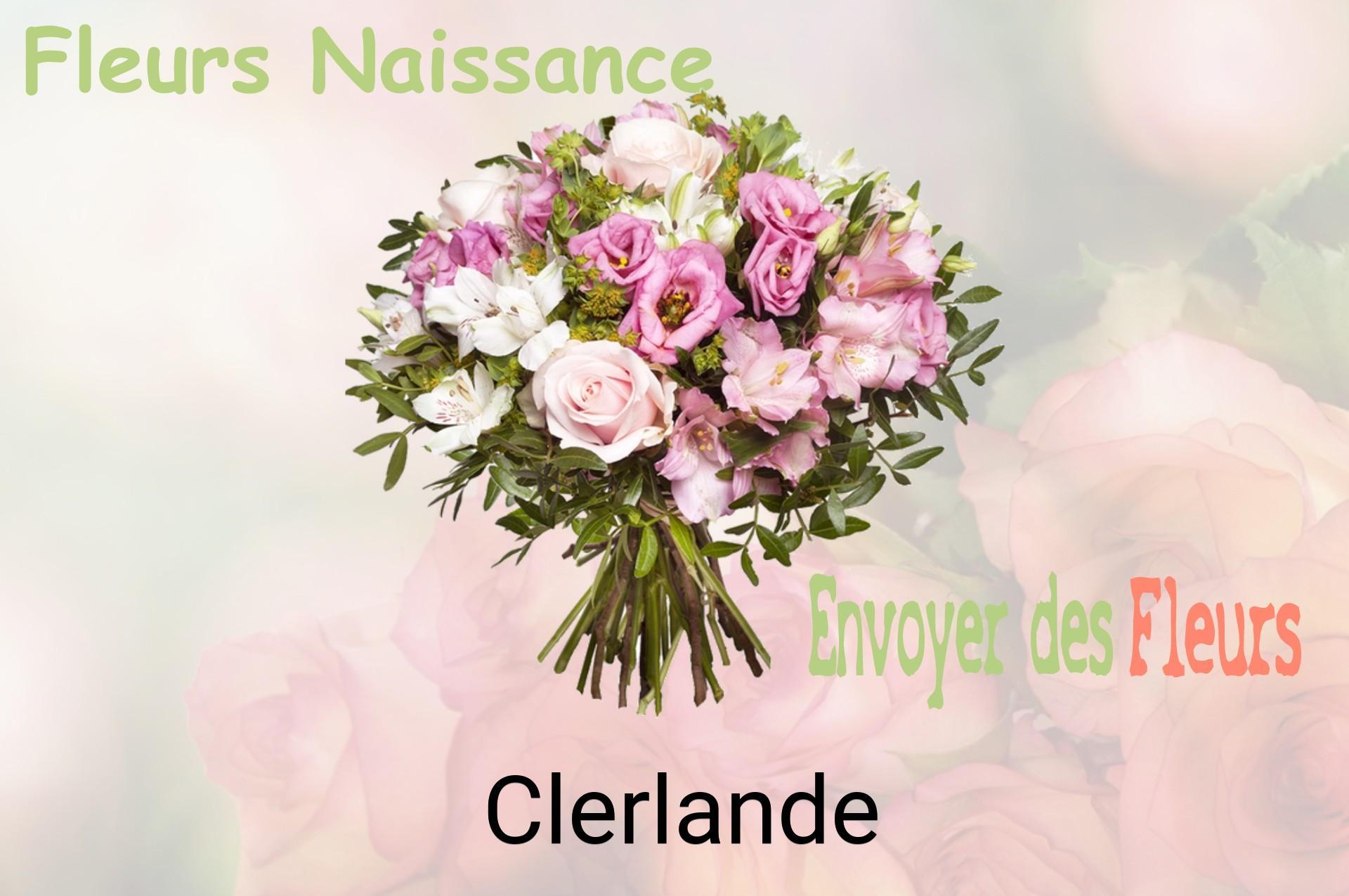 Bouquet de fleurs de naissance livré à Clerlande