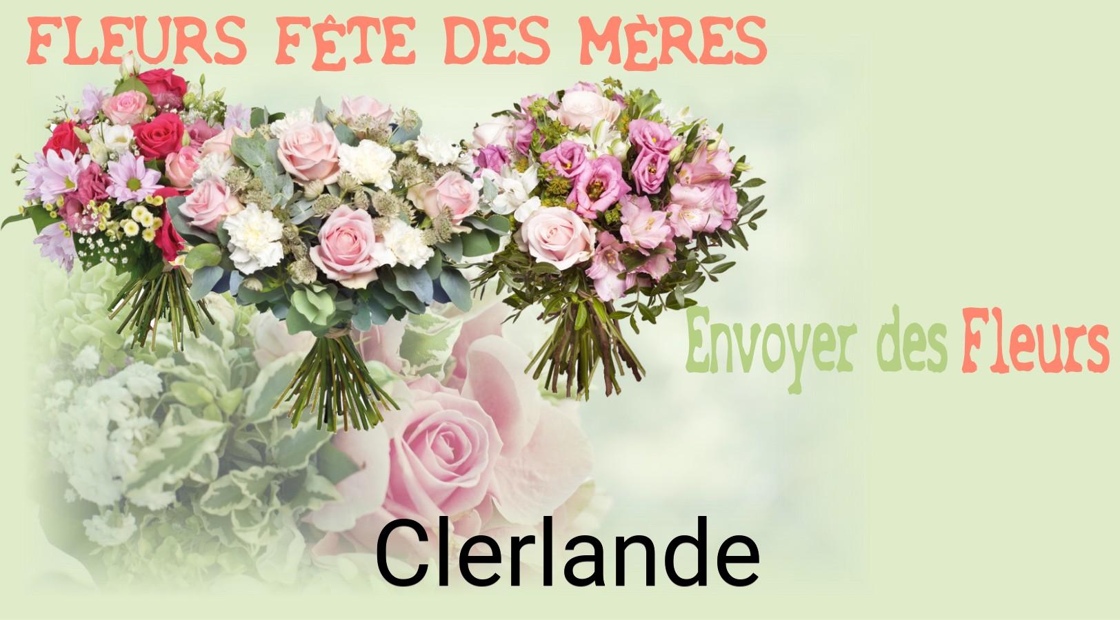Bouquet de Fête des Mères livré à Clerlande